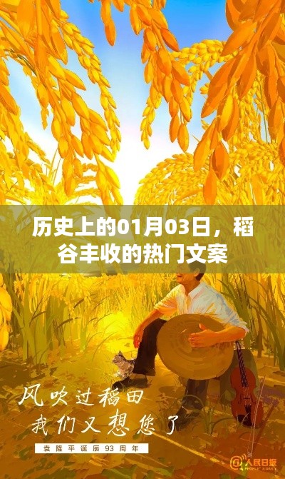 历史稻谷丰收日,一月三日丰收文案回顾