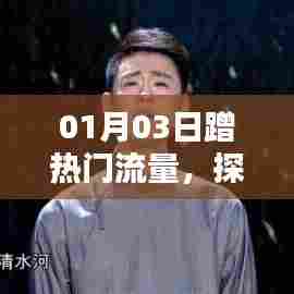 揭秘网络热潮，热门流量探索之旅