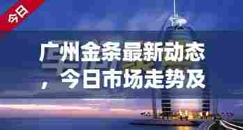 广州金条最新动态,今日市场走势及投资者关注焦点