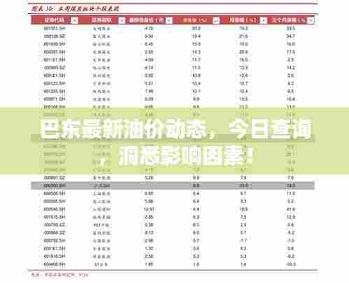 巴东最新油价动态,今日查询,洞悉影响因素!