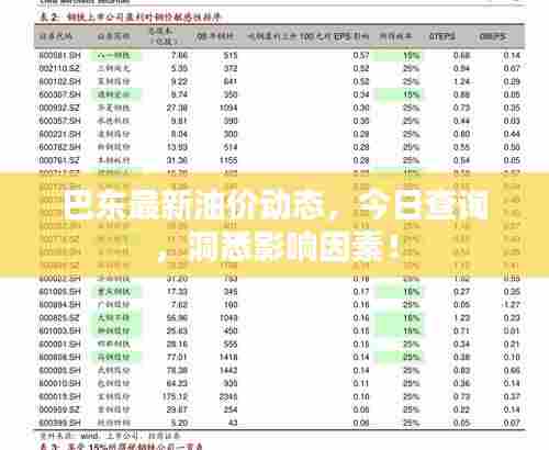 巴东最新油价动态,今日查询,洞悉影响因素!