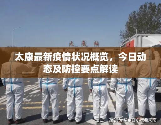 太康最新疫情状况概览，今日动态及防控要点解读