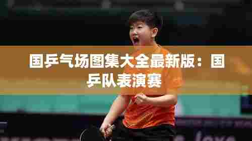 国乒气场图集大全最新版：国乒队表演赛 