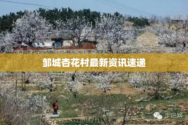 邹城杏花村最新资讯速递