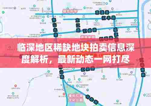 临深地区稀缺地块拍卖信息深度解析,最新动态一网打尽