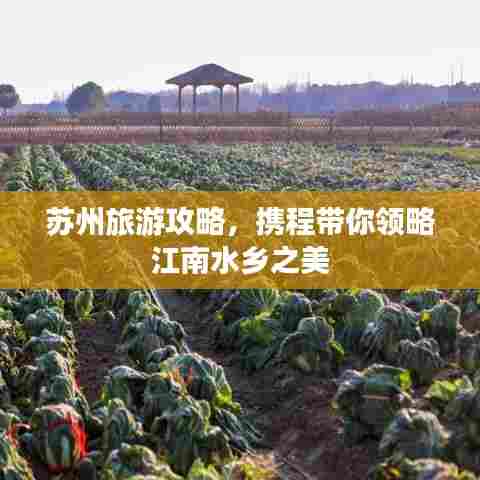 苏州旅游攻略，携程带你领略江南水乡之美