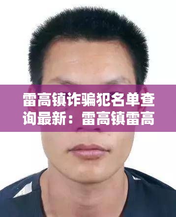 雷高镇诈骗犯名单查询最新:雷高镇雷高村人口