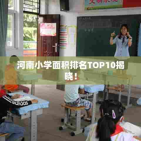 河南小学面积排名TOP10揭晓！
