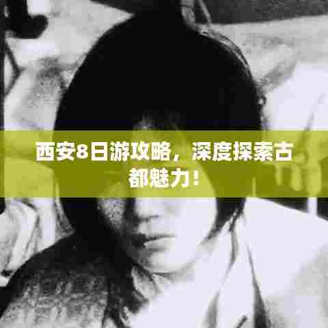西安8日游攻略,深度探索古都魅力!