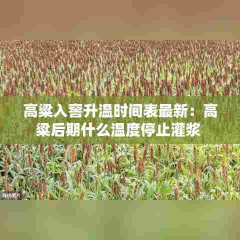 高粱入窖升温时间表最新:高粱后期什么温度停止灌浆