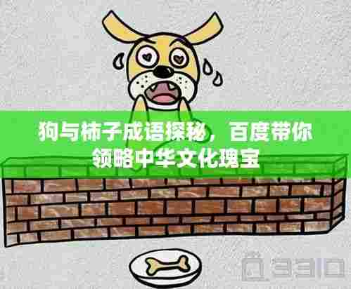 狗与柿子成语探秘，百度带你领略中华文化瑰宝