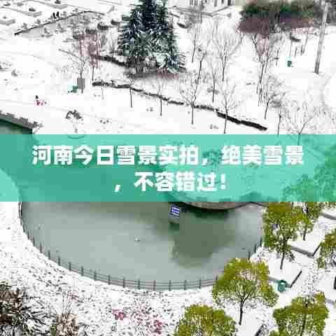 河南今日雪景实拍,绝美雪景,不容错过!