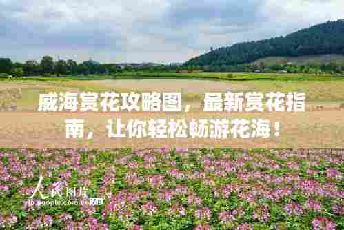 全神贯注 第2页