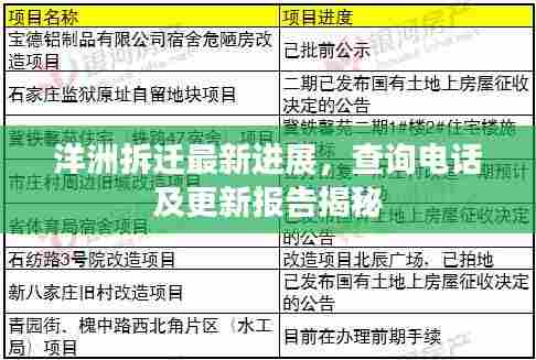 洋洲拆迁最新进展,查询电话及更新报告揭秘