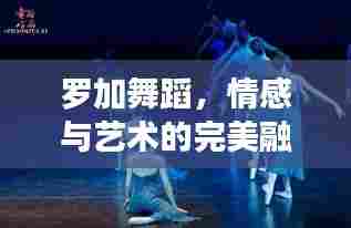 罗加舞蹈，情感与艺术的完美融合之旅