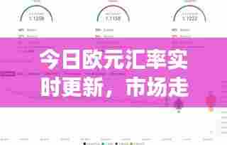 今日欧元汇率实时更新,市场走势深度解析
