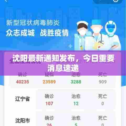 沈阳最新通知发布，今日重要消息速递