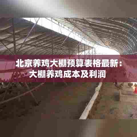 北京养鸡大棚预算表格最新:大棚养鸡成本及利润