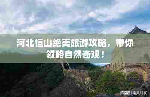 鸟飞兔走 第2页