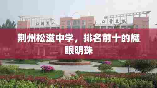 十年磨剑 第2页