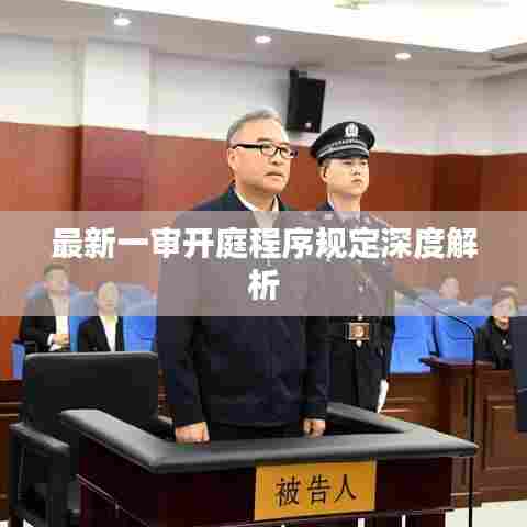 最新一审开庭程序规定深度解析