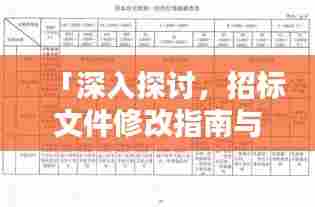 「深入探讨,招标文件修改指南与百度标准对接」