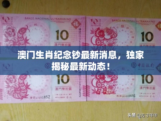 澳门生肖纪念钞最新消息,独家揭秘最新动态!