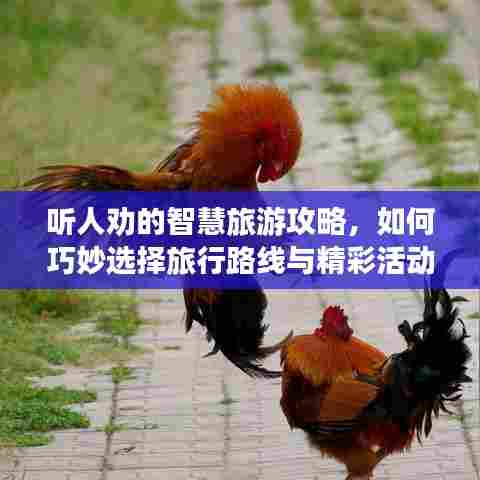听人劝的智慧旅游攻略,如何巧妙选择旅行路线与精彩活动
