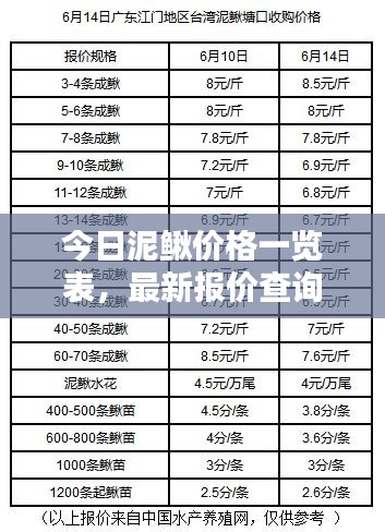 今日泥鳅价格一览表,最新报价查询