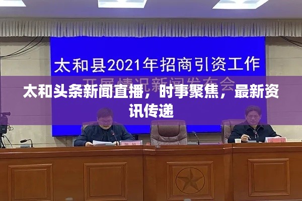 太和头条新闻直播，时事聚焦，最新资讯传递