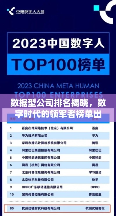 数据型公司排名揭晓，数字时代的领军者榜单出炉！