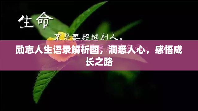励志人生语录解析图,洞悉人心,感悟成长之路