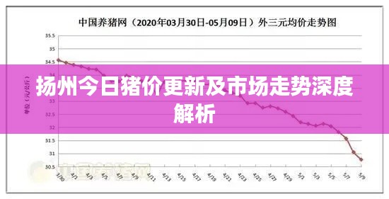 扬州今日猪价更新及市场走势深度解析