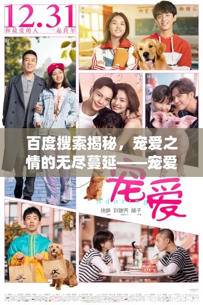 百度搜索揭秘,宠爱之情的无尽蔓延——宠爱百度探寻