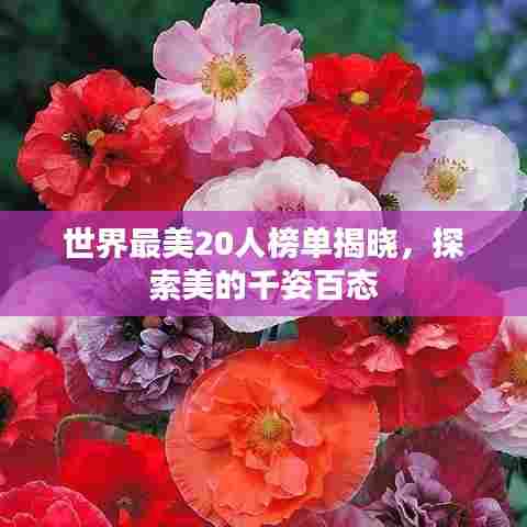 世界最美20人榜单揭晓，探索美的千姿百态