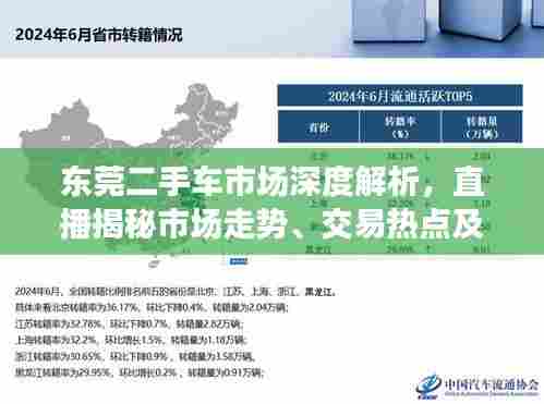 东莞二手车市场深度解析，直播揭秘市场走势、交易热点及未来展望