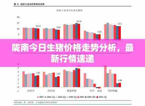 陇南今日生猪价格走势分析，最新行情速递