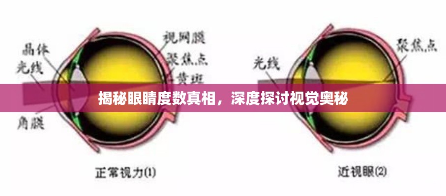 揭秘眼睛度数真相,深度探讨视觉奥秘
