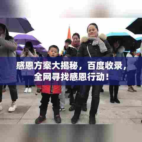 感恩方案大揭秘，百度收录，全网寻找感恩行动！