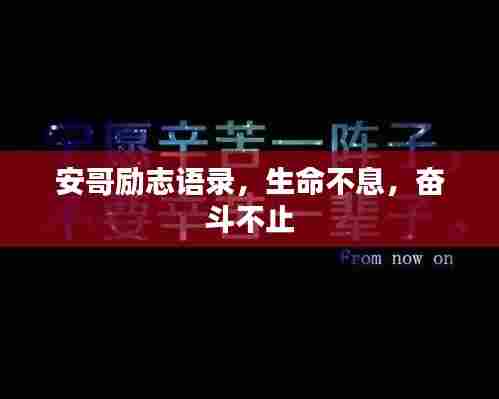 安哥励志语录，生命不息，奋斗不止