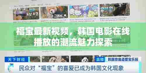 福宝最新视频，韩国电影在线播放的潮流魅力探索