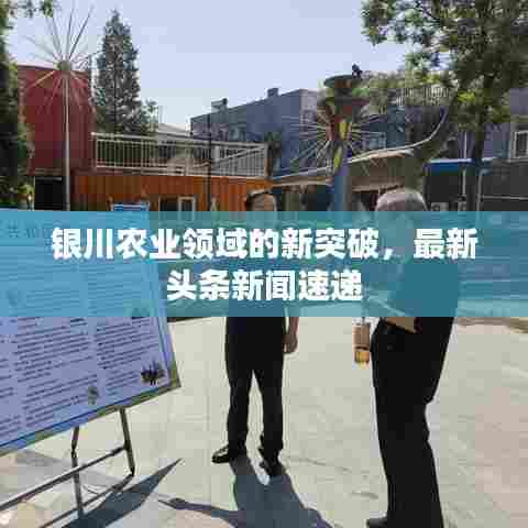 银川农业领域的新突破，最新头条新闻速递