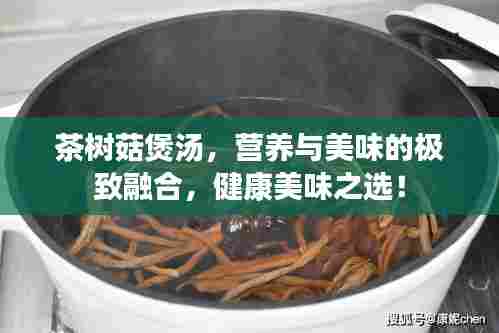 茶树菇煲汤，营养与美味的极致融合，健康美味之选！